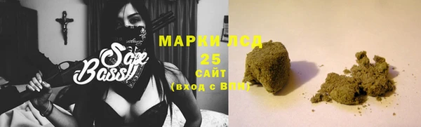 индика Алзамай