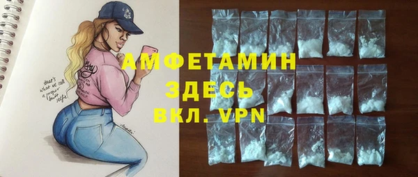 шишки Арсеньев