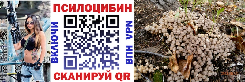 MEGA Строитель Псилоцибиновые грибы мухоморы